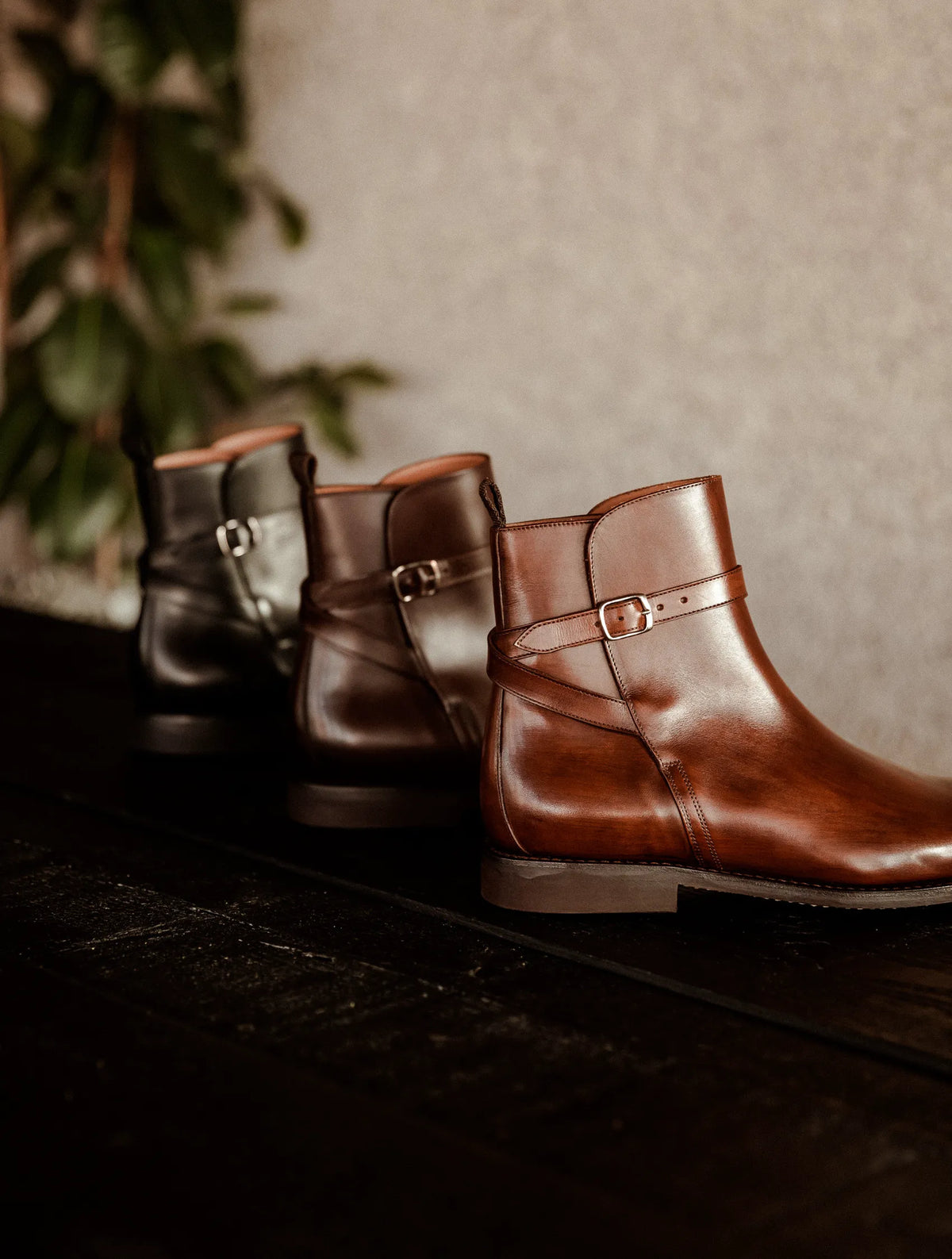 Chestnut