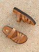 Summer Camel