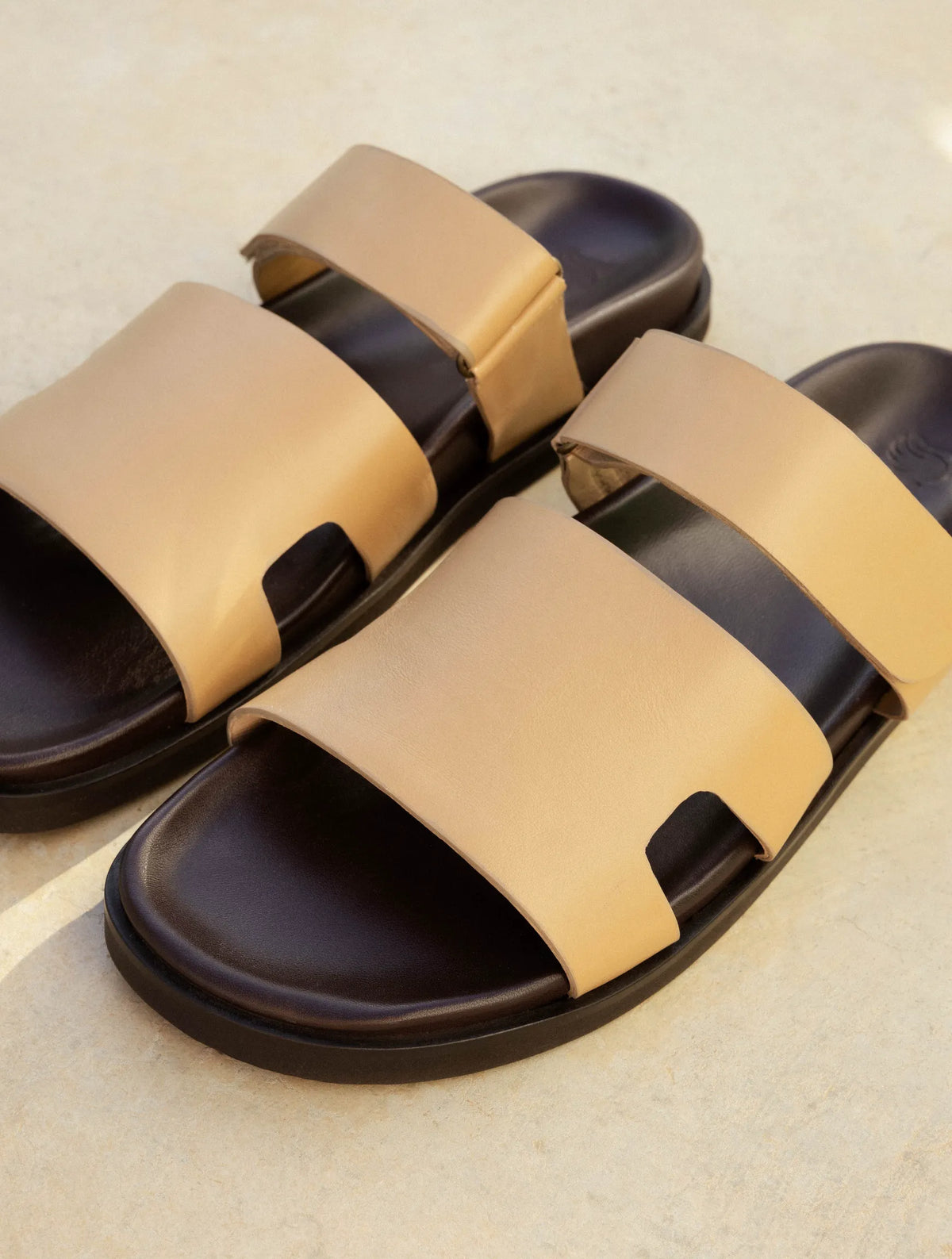 Biscuit