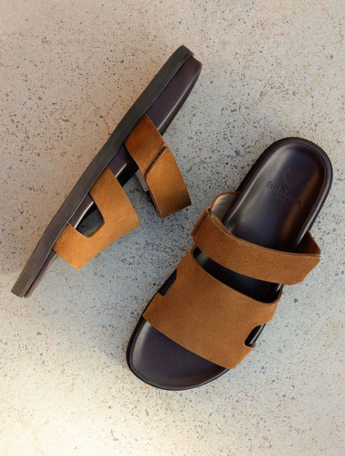 Camel