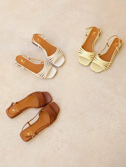 Milk