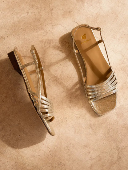 Champagne Gold