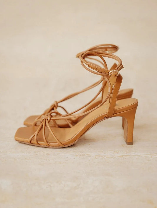 Summer Camel
