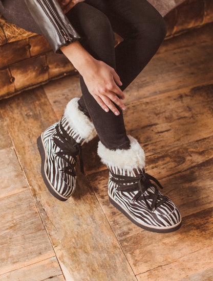 Zebra