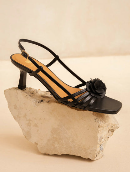 Passion Black