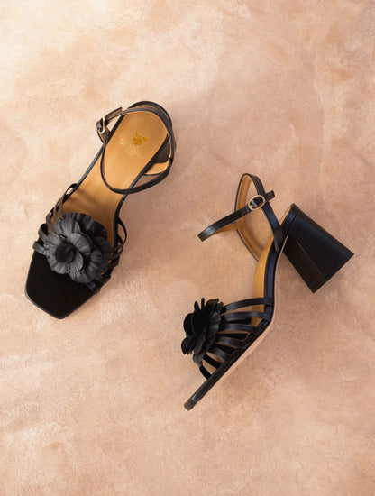 Passion Black