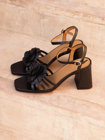 Passion Black