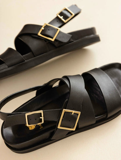 Passion Black