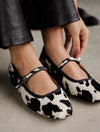 Holstein
