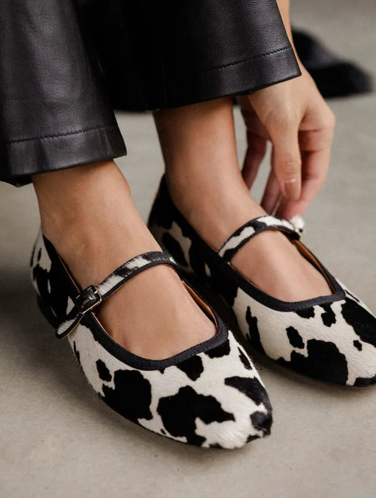Holstein