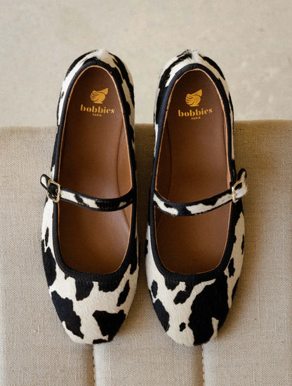 Holstein