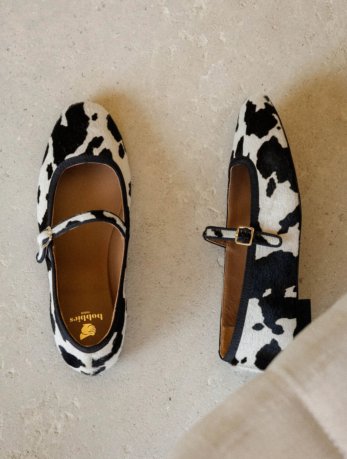 Holstein
