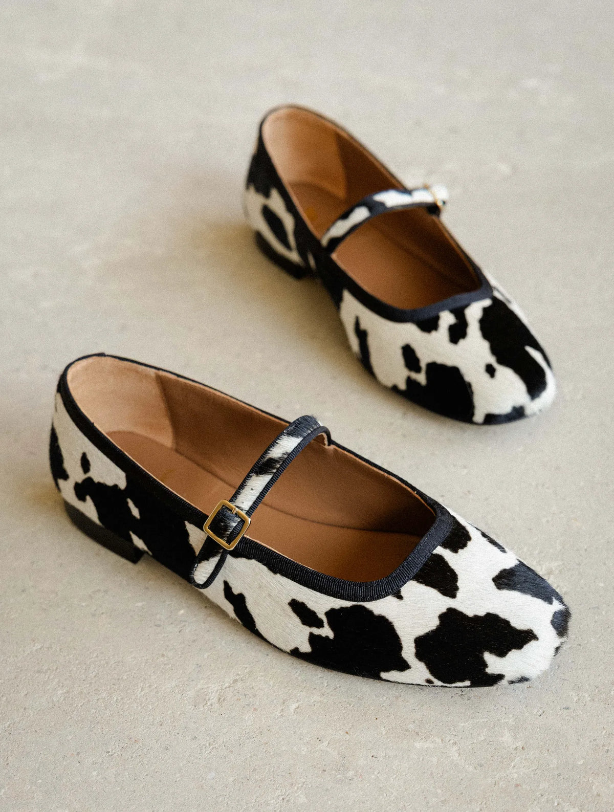 Holstein