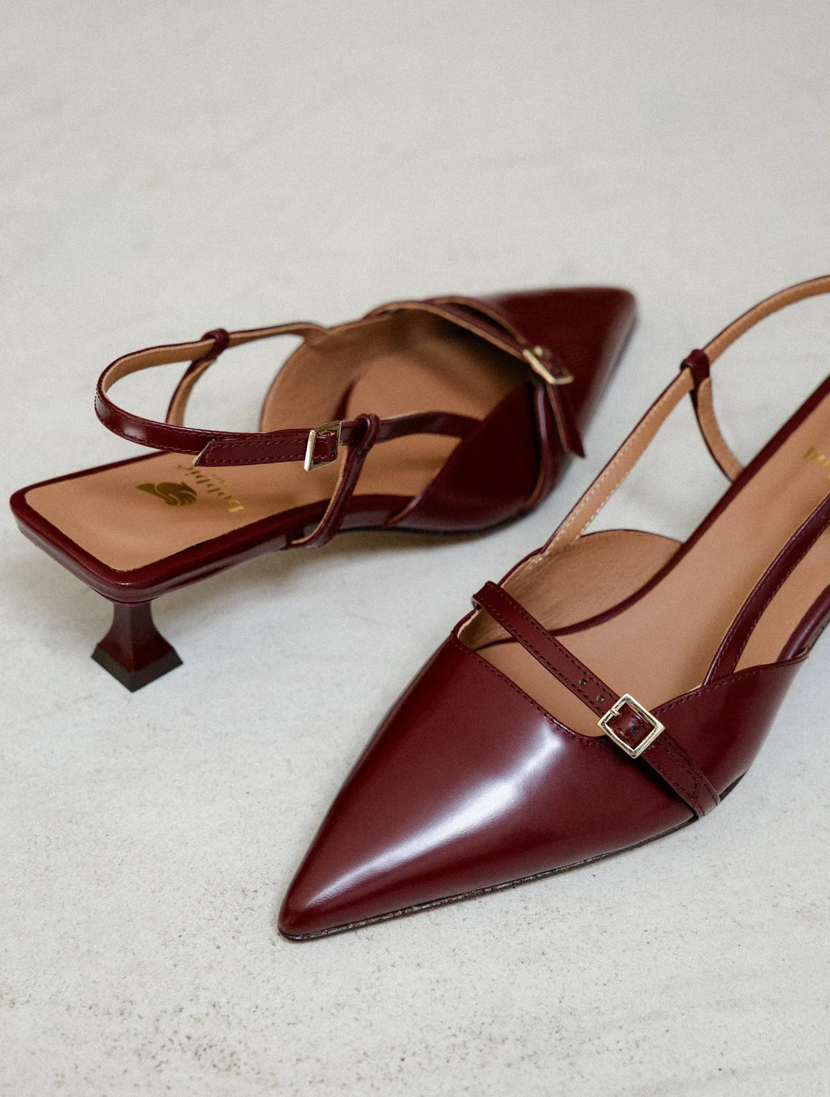 Morello Cherry
