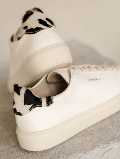 Cream & Holstein