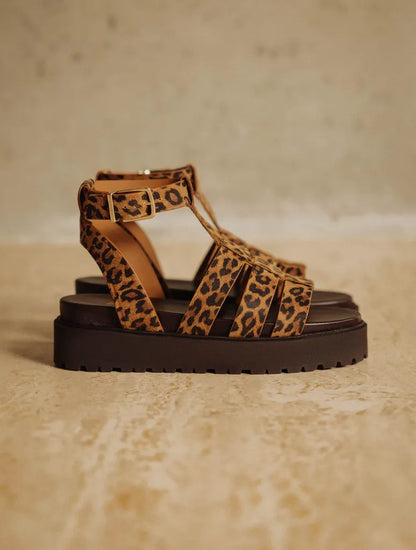 Leopard