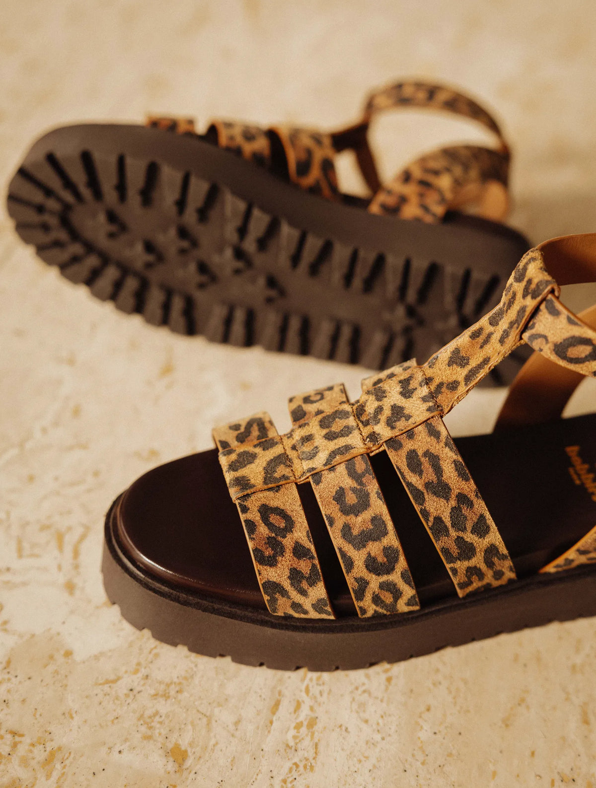 Leopard