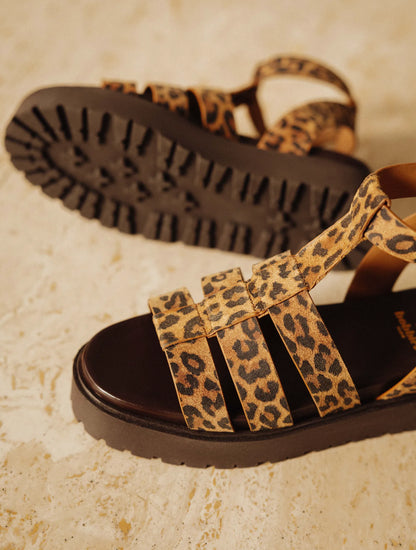 Leopard