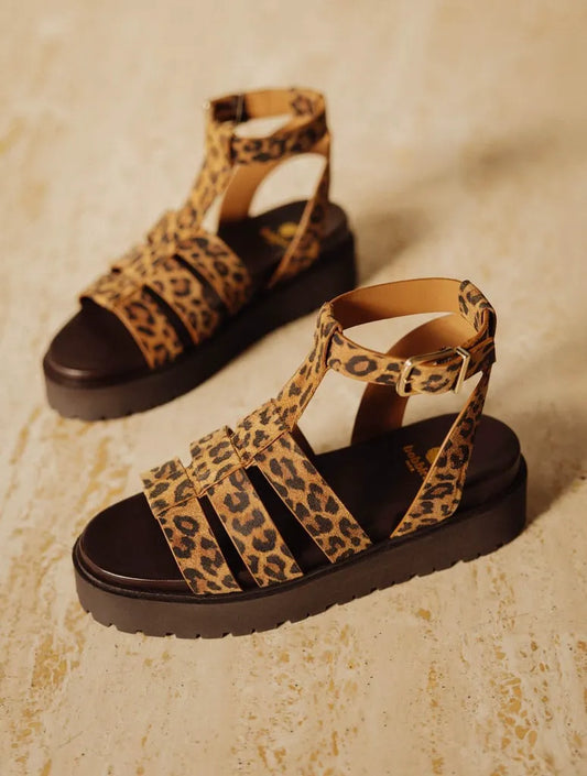 Leopard