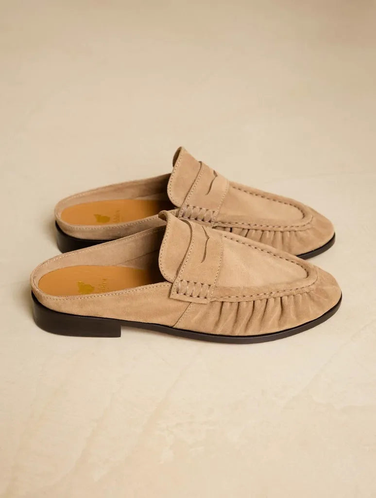 Antelope