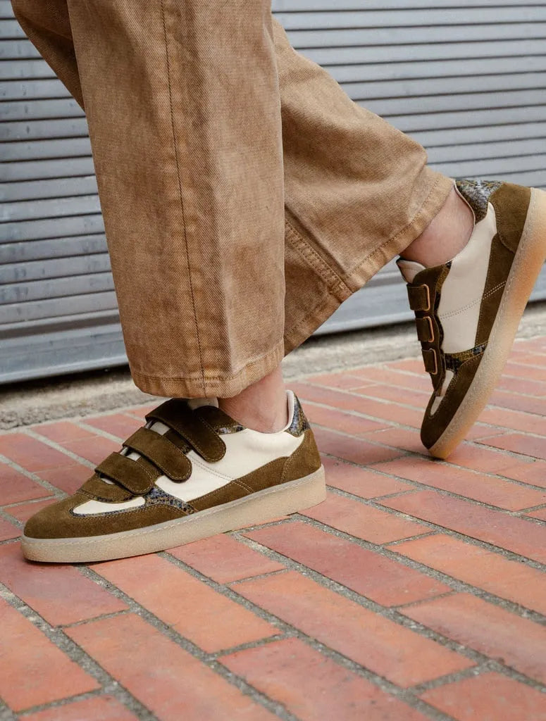 Beige & Altai